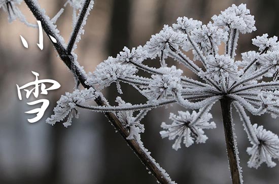 2023小雪节气发朋友圈的暖心文案 小雪暖心又好听的祝福语